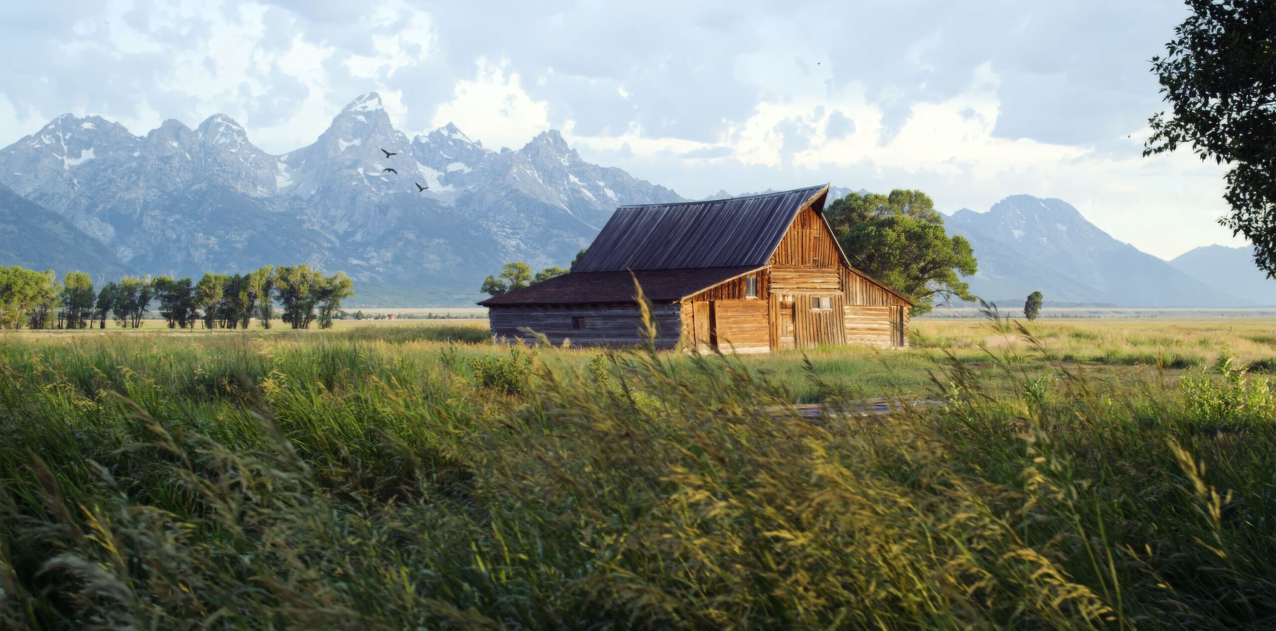 teton_peaks_birds