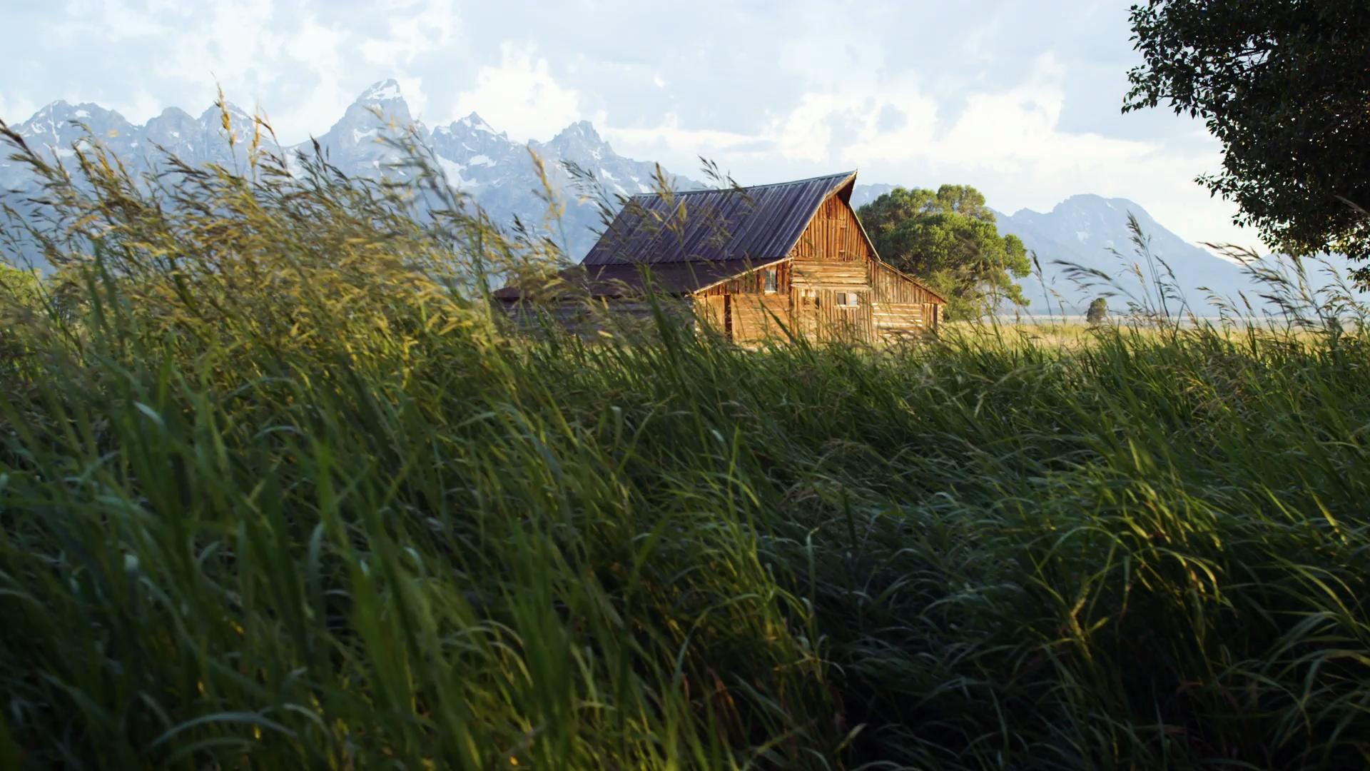 Wild Rose Realty Luxury Real Estate